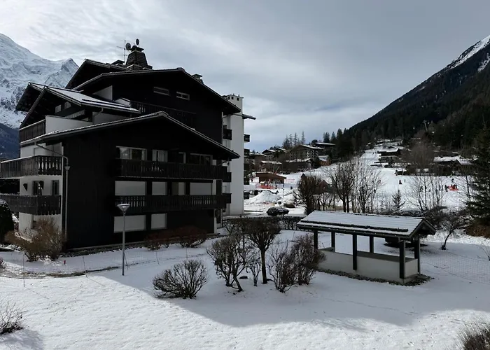 Apartment Mont-blanc View Skiing Parking Chamonix
