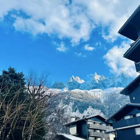 Renovated Flat With Mont Blanc's View Parking 샤모니