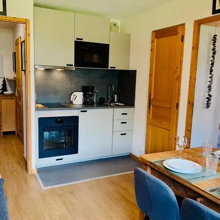 アパート Renovated Flat With Mont Blanc's View Parking シャモニー