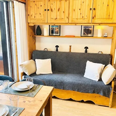 Renovated Flat With Mont Blanc's View Parking * シャモニー