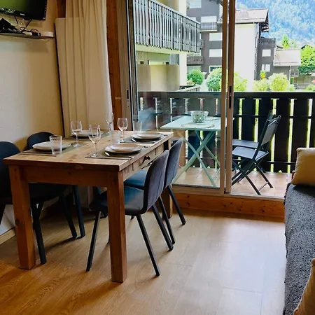 Renovated Flat With Mont Blanc's View Parking シャモニー