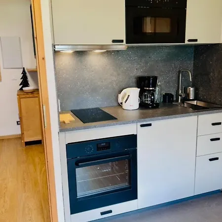 Renovated Flat With Mont Blanc's View Parking アパート