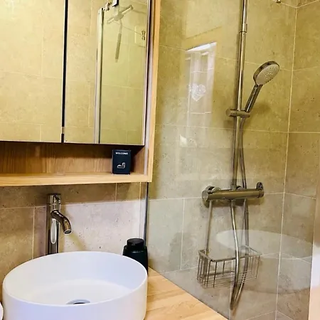 Renovated Flat With Mont Blanc's View Parking * シャモニー