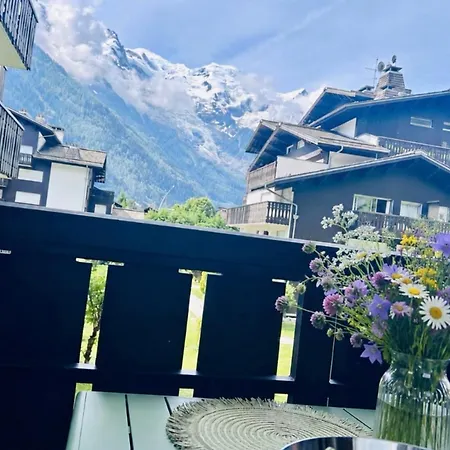 アパート Renovated Flat With Mont Blanc's View Parking