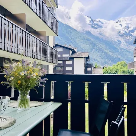 Renovated Flat With Mont Blanc's View Parking * シャモニー