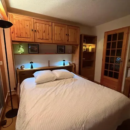 Renovated Flat With Mont Blanc's View Parking *