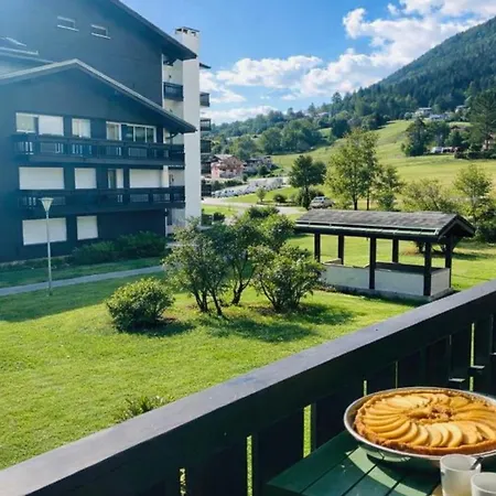 Renovated Flat With Mont Blanc's View Parking *